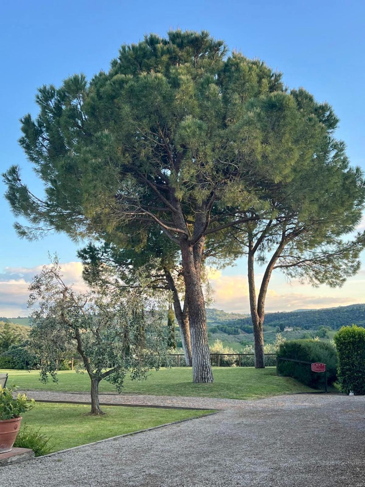 Fattoria Abbazia Monte Oliveto Vila San Gimignano Exterior foto